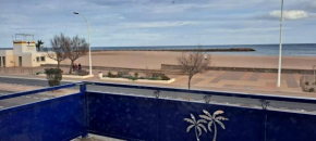 Palmier bleu front de mer
